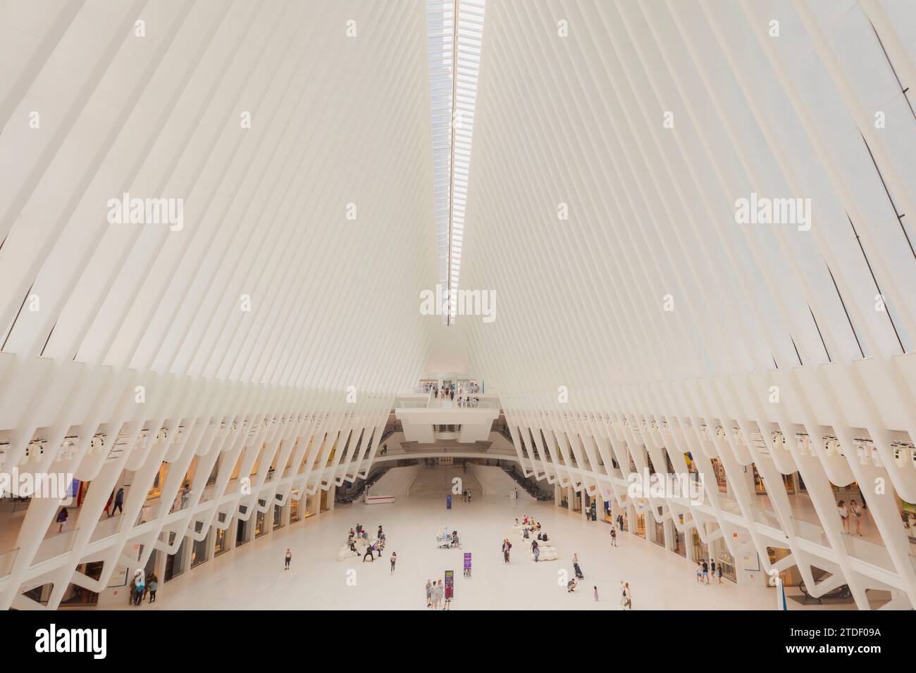 The interior roof and passenger concourse of the Oculus transportation hub at the World Trade Center in Lower Manhattan, New York City Stock Photo