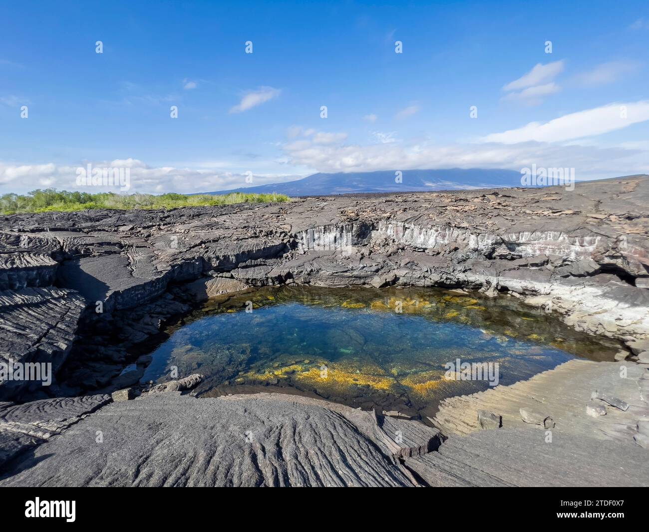 Pahoehoe lava on the youngest island in the Galapagos, Fernandina