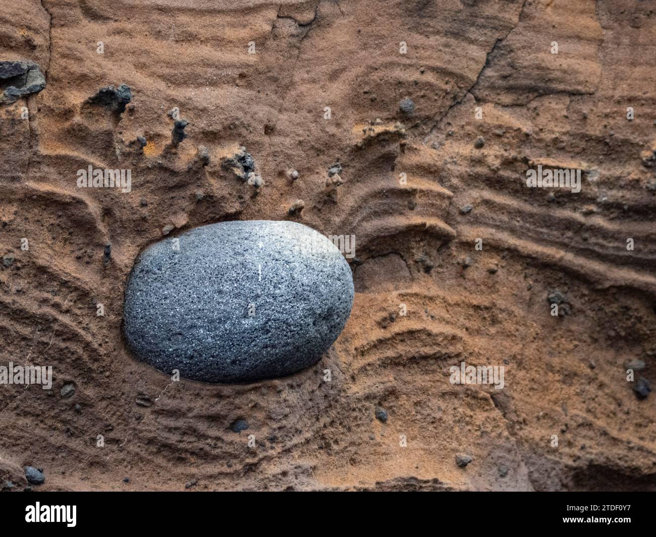 A pyroclastic bomb in the eruption tuff on Isabela Island, Galapagos Islands, UNESCO World Heritage Site, Ecuador, South America Stock Photo