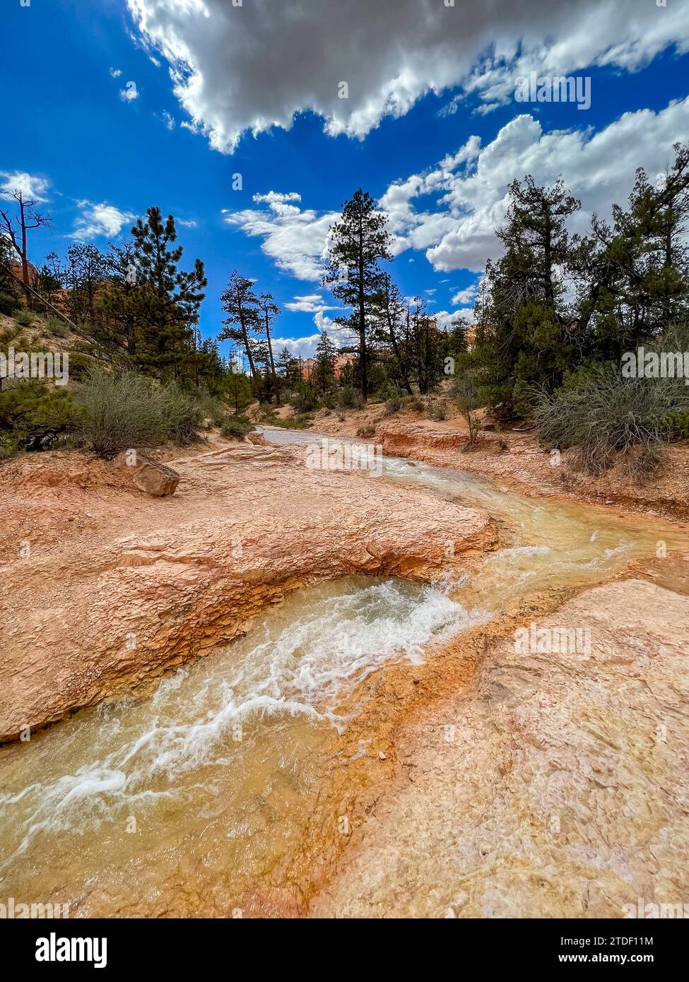 A stream running through the Mossy Cave Trail in Bryce Canyon National Park, Utah, United States of America, North America Stock Photo