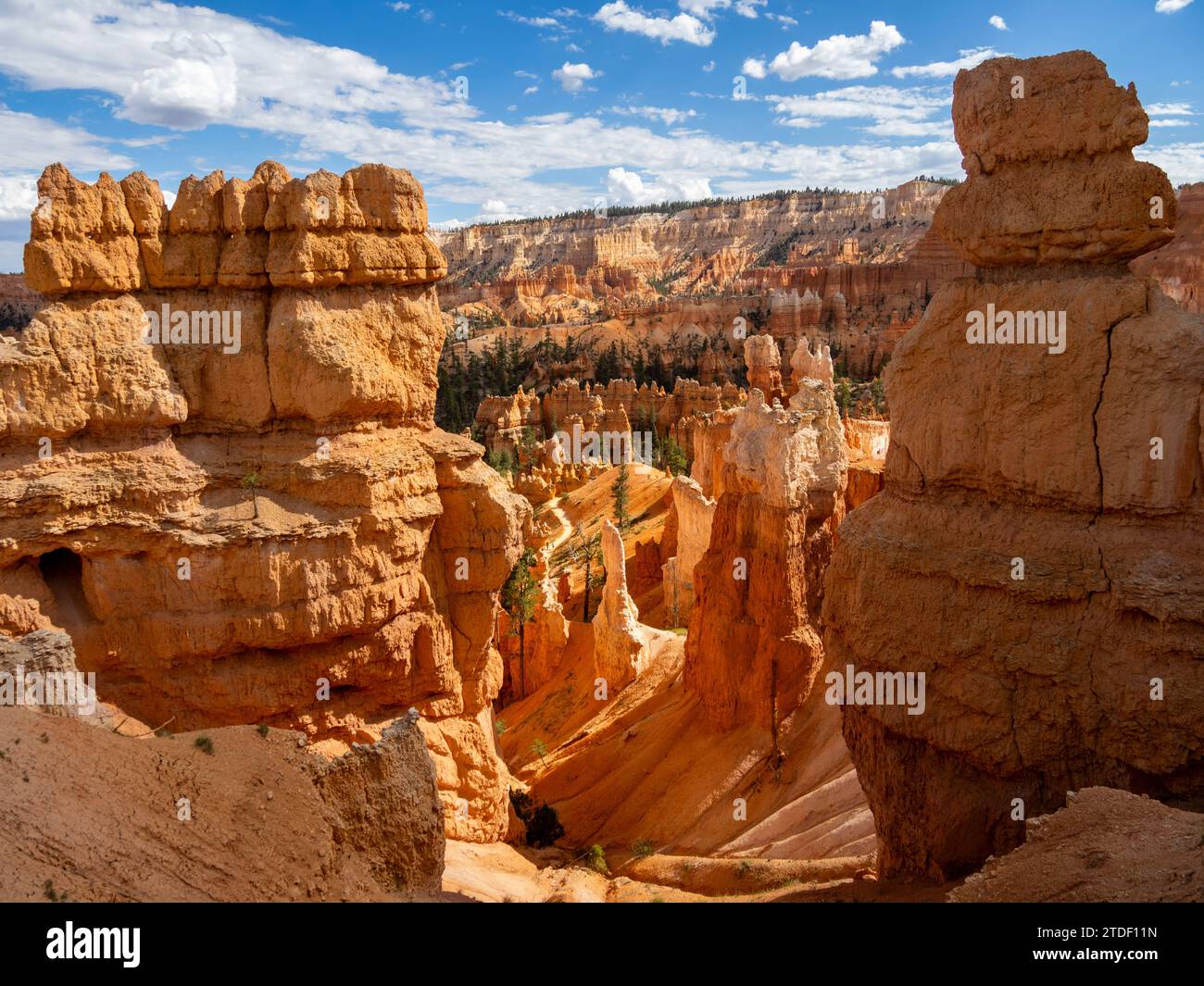 Red rock formations known as hoodoos in Bryce Canyon National Park, Utah, United States of America, North America Stock Photo