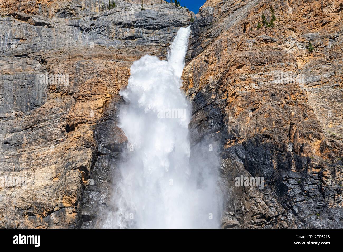 Takakkaw Falls, the second tallest waterfall in Canada, Yoho National Park, UNESCO World Heritage Site, British Columbia, Canada, North America Stock Photo
