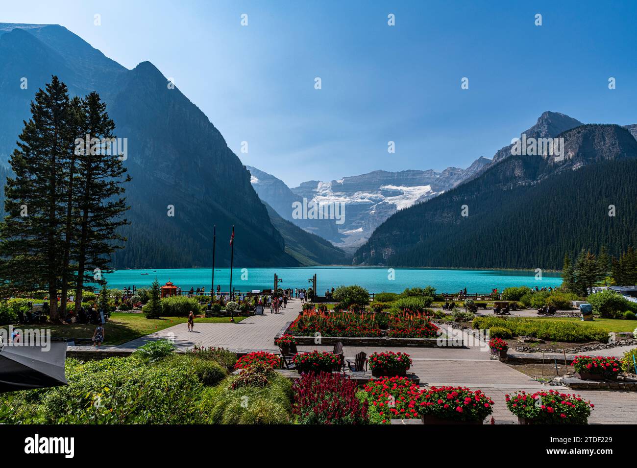 Beautiful garden by Lake Louise, Banff National Park, UNESCO World Heritage Site, Alberta, Rocky Mountains, Canada, North America Stock Photo