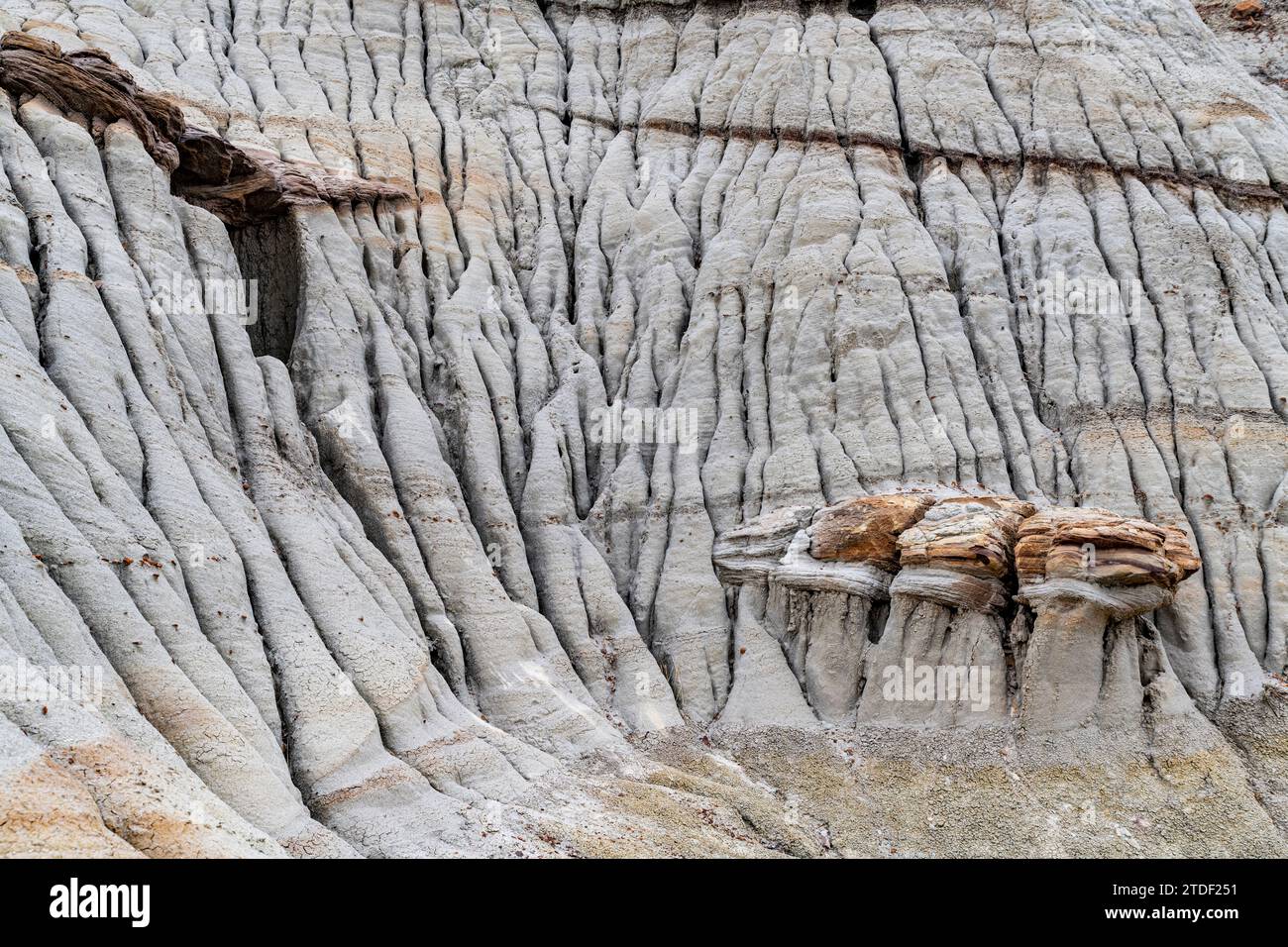 Eroded landscape in the Dinosaur Provincial Park, UNESCO World Heritage Site, Alberta, Canada, North America Stock Photo