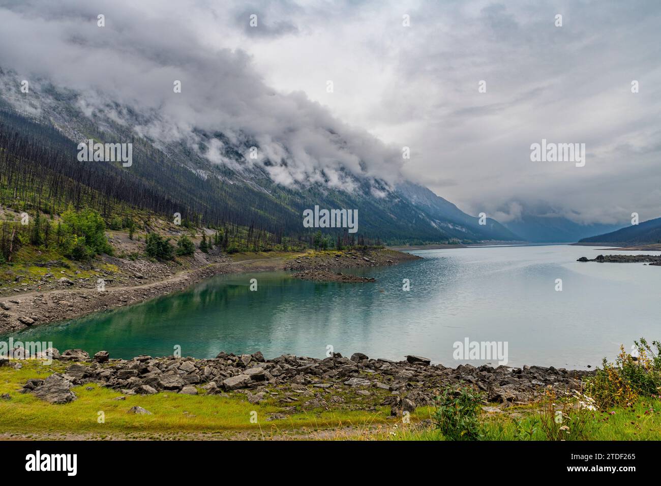 Medicine Lake, Jasper National Park, UNESCO World Heritage Site, Alberta, Canadian Rockies, Canada, North America Stock Photo