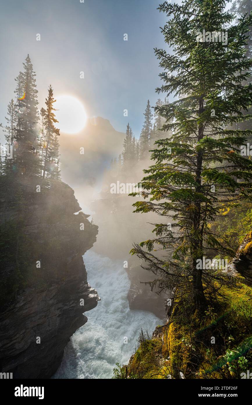 Athabasca Falls at sunrise, Glacier Parkway, Jasper National Park, UNESCO World Heritage Site, Alberta, Canadian Rockies, Canada, North America Stock Photo