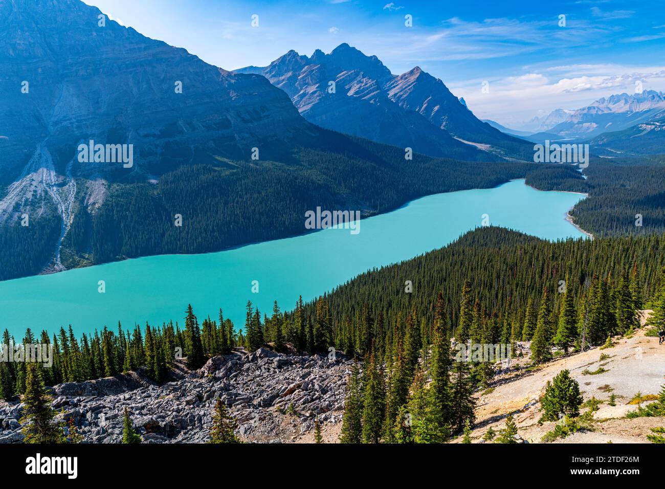 Turquoise Peyto Lake, Glacier Parkway, Banff National Park, UNESCO World Heritage Site, Alberta, Canadian Rockies, Canada, North America Stock Photo