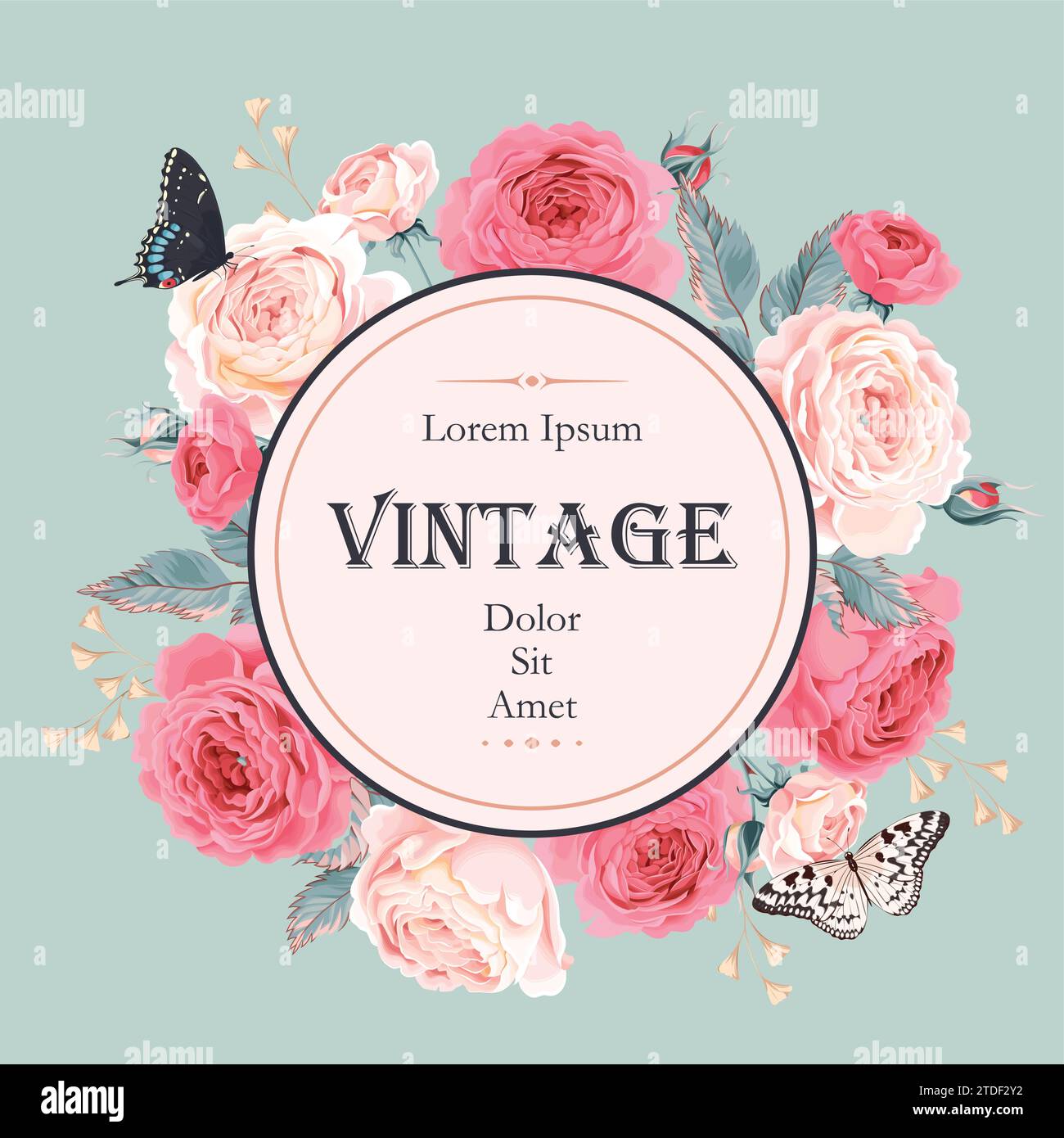 Card with roses and butterflies Stock Vector Image & Art - Alamy