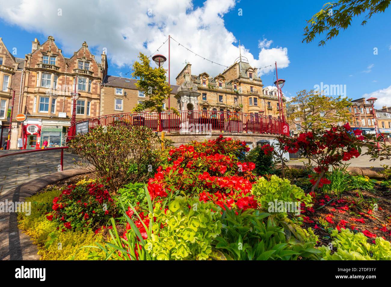 Flowers at James Square, Crieff, Perthshire, Scotland, United Kingdom, Europe Stock Photo