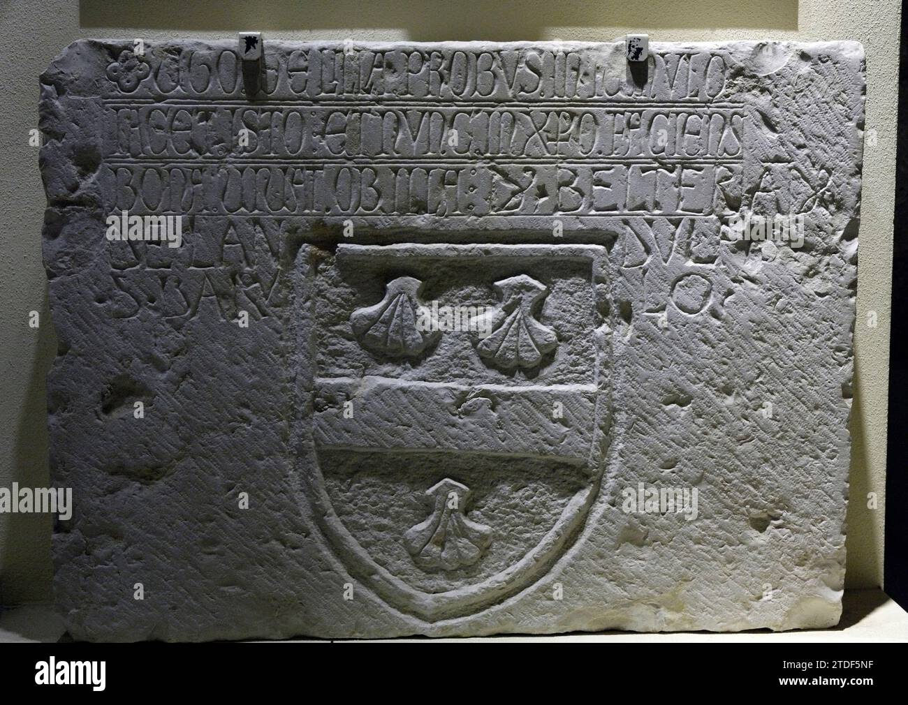 Italy Apulia  Barletta The Norman svevian castle - Civic Museum - Stone with Coat of arms Stock Photo