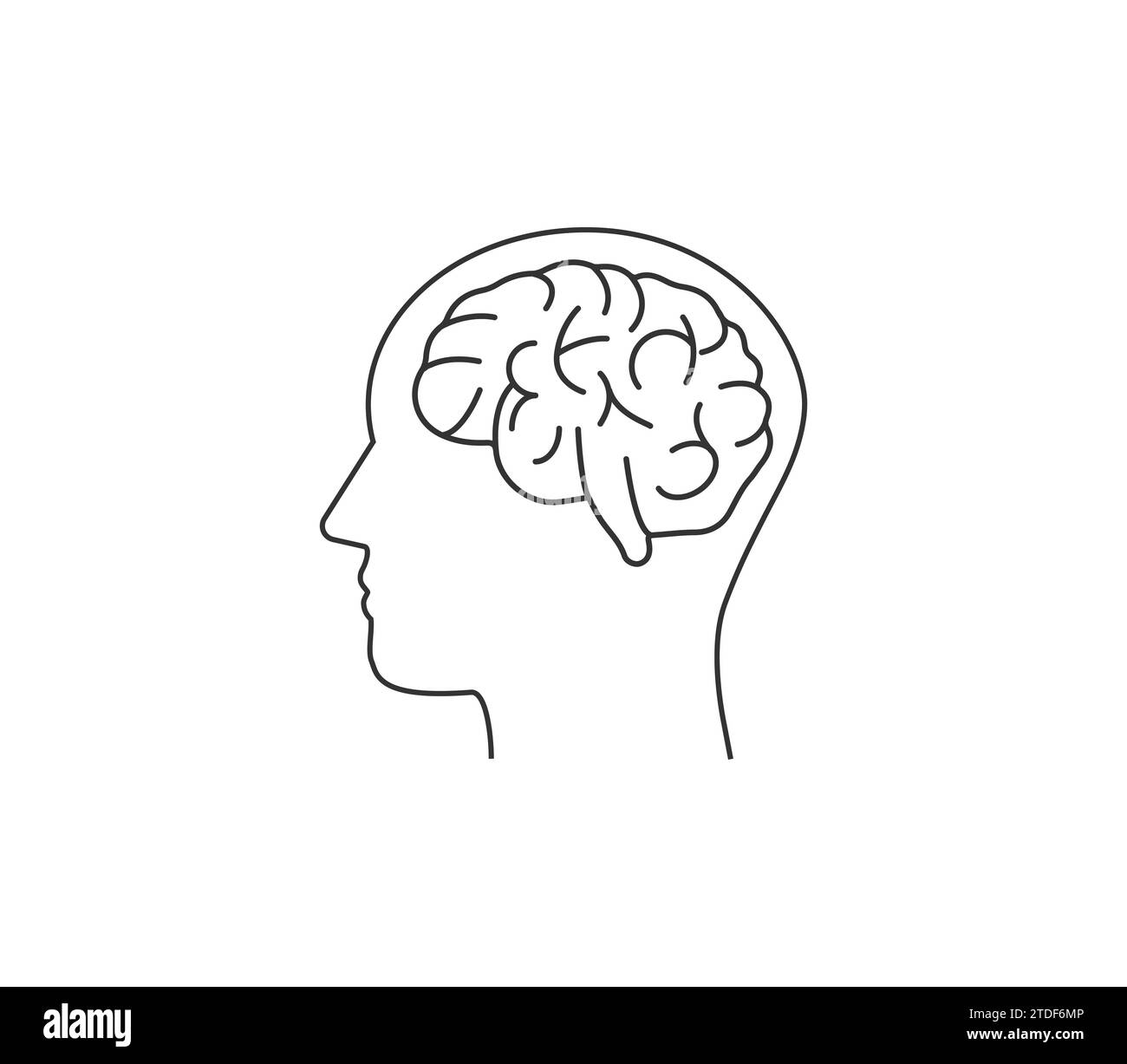 Brain, human head icon. Vector illustration Stock Vector Image & Art ...