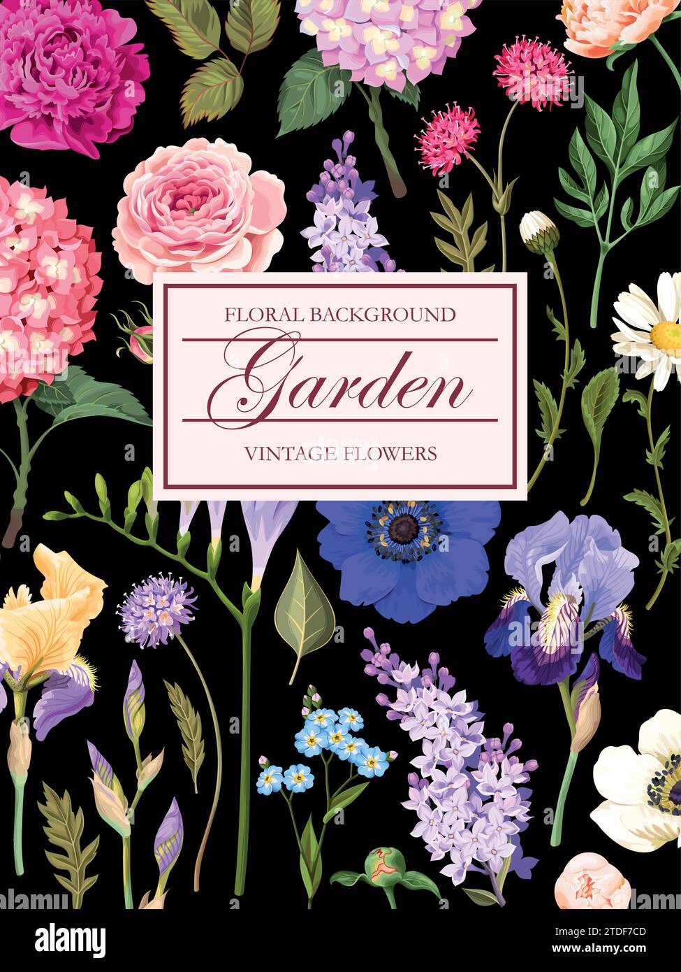 Vintage card with garden flowers Stock Vector Image & Art - Alamy