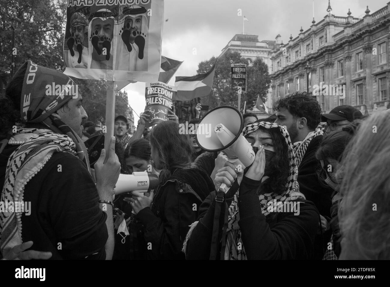 Pro-Palestine demonstration in London / UK Stock Photo - Alamy