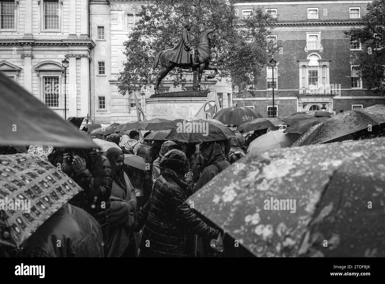 Pro-Palestine demonstration in London / UK Stock Photo - Alamy