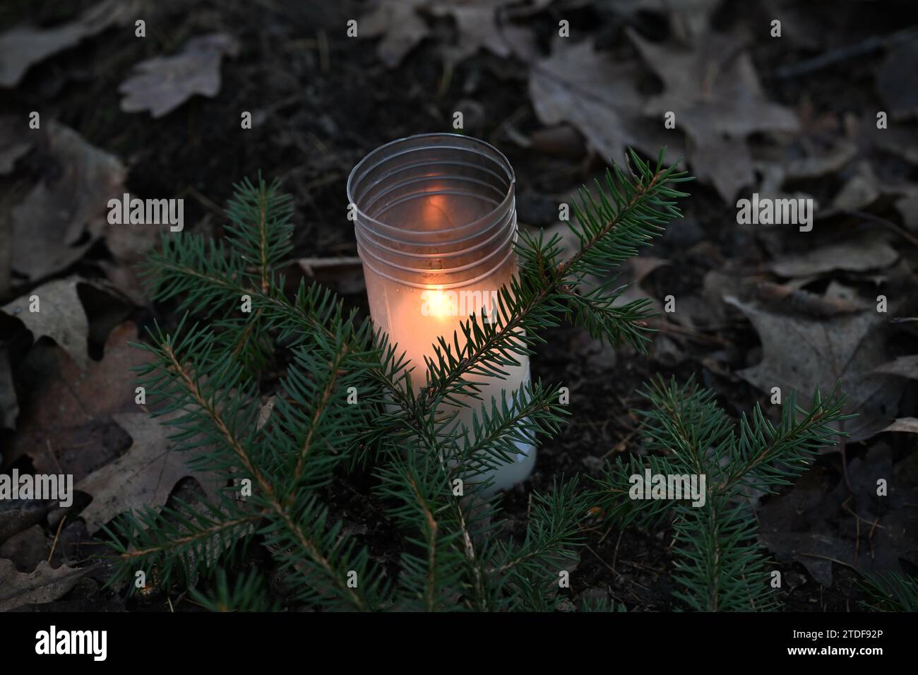 Prague, Czech Republic. 18th Dec, 2023. A candle near the crime scene of the double murder at Klanovice Forest, Prague, Czech Republic, pictured on December 18, 2023. Two people, one of them a child, were found dead in the Klanovice neighbourhood on the eastern outskirts of Prague on December 15, 2023. Several dozen police officers are working to solve the double murder. Credit: Michaela Rihova/CTK Photo/Alamy Live News Stock Photo