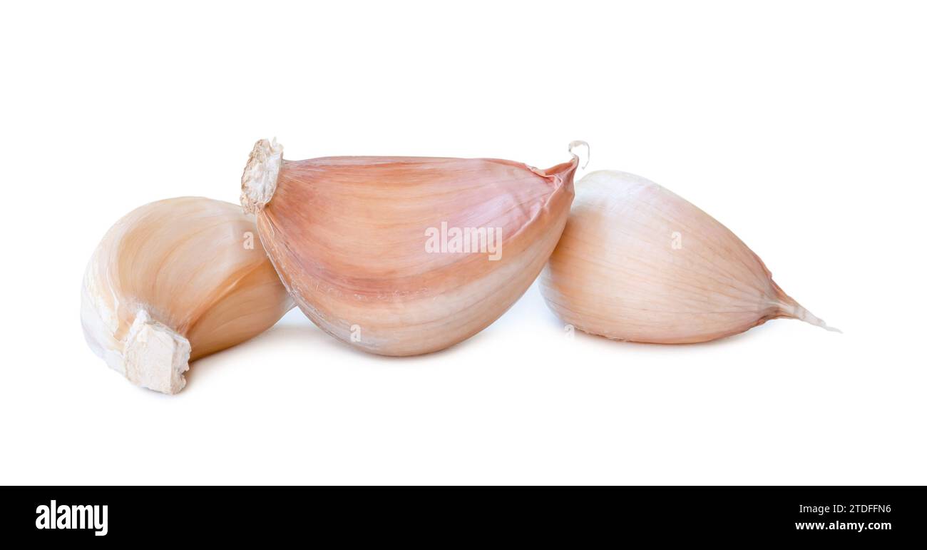 Fresh unpeeled garlic cloves in stack are isolated on white background