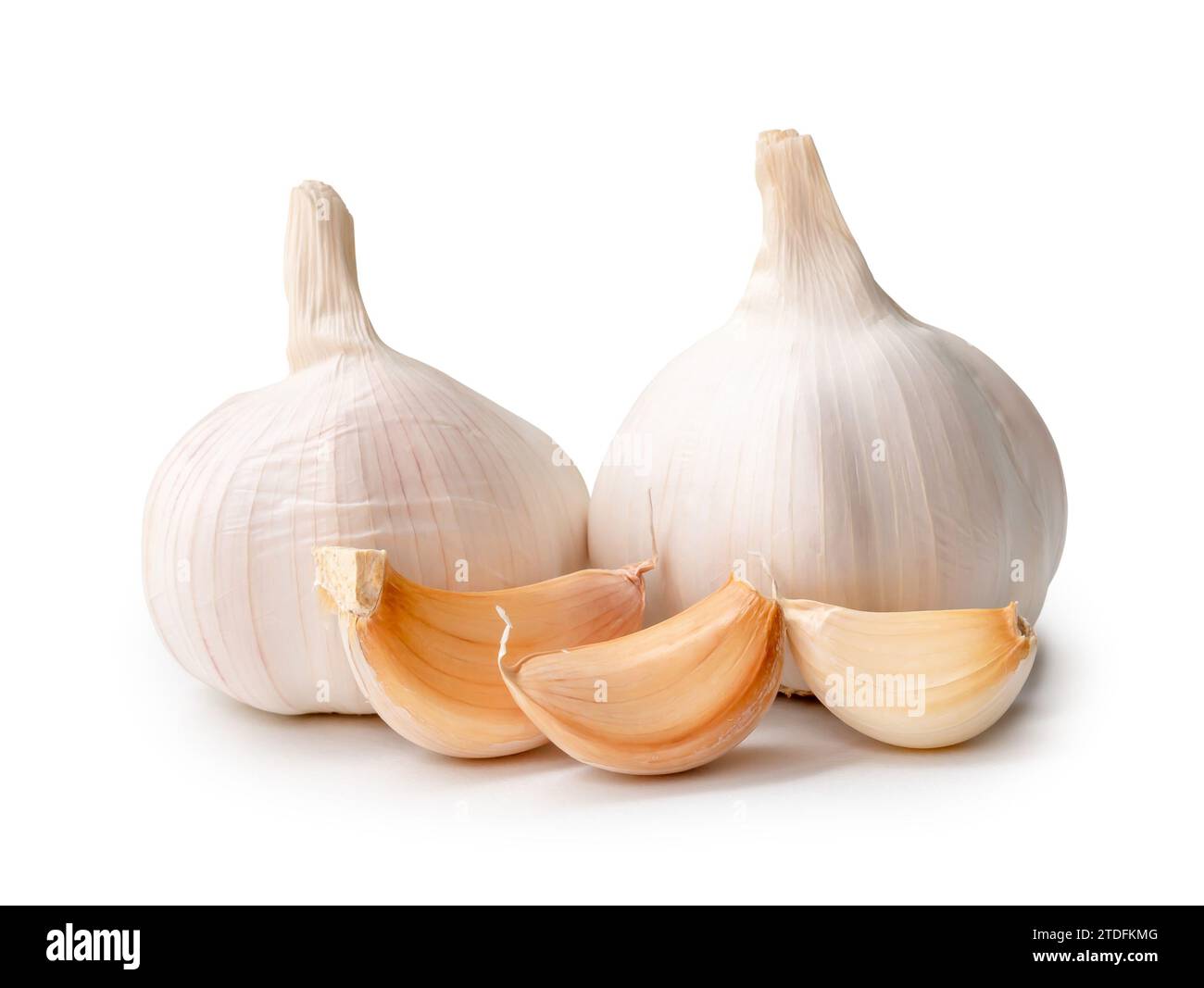 Two fresh white garlic bulbs with segments are isolated on white background with clipping path, Thai herb is great for healing several severe diseases Stock Photo