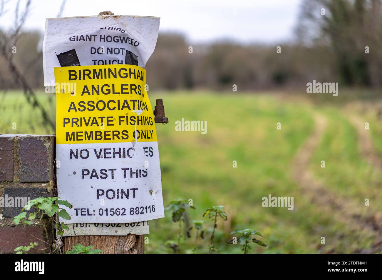 Birmingham Anglers Association fishing sign warning members of giant hogweed, do not touch. Stock Photo