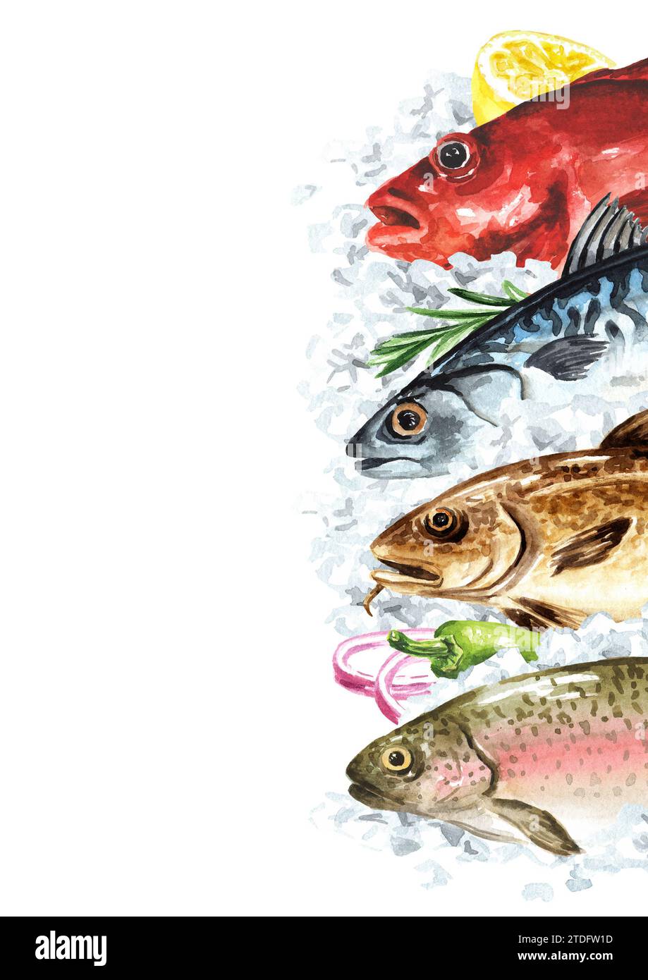 Fresh raw fish on the ice Seafood concept Hand drawn watercolor ...