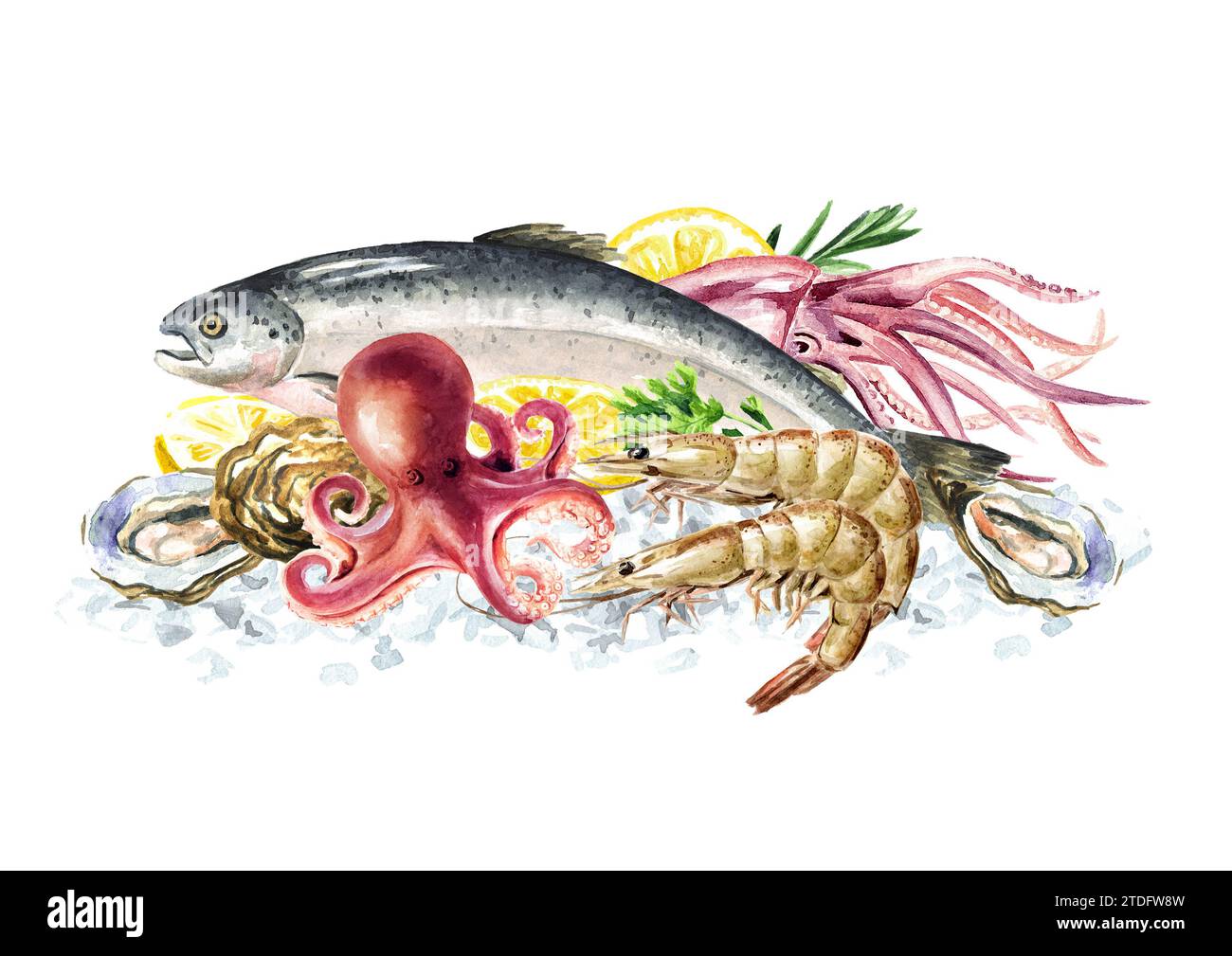 Fresh raw fish on the ice, Seafood concept Hand drawn watercolor ...