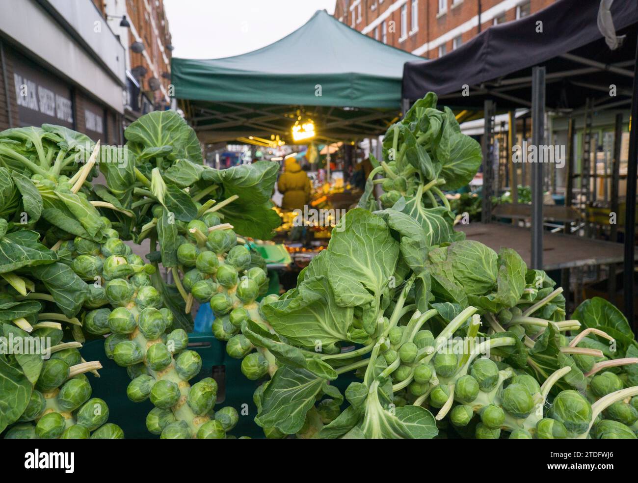 London, UK. 18th Jan, 2023. At a fruit and veg stall on Hildreth Street Brussels spouts on stalks are for sale. Credit: Anna Watson/Alamy Live News Stock Photo