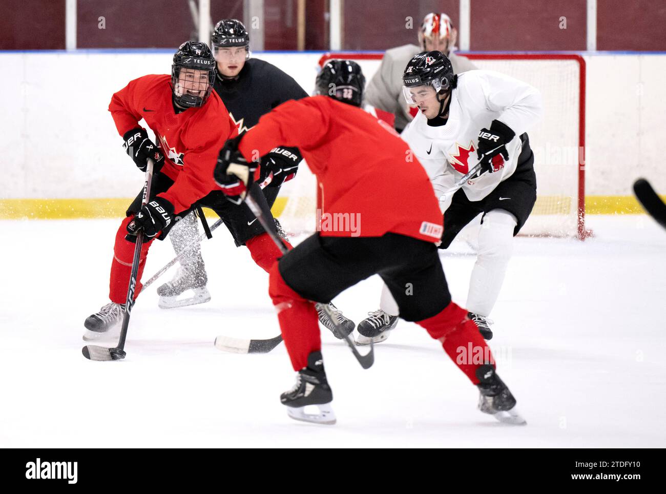 Macklin Celebrini (17) with the puck against Matthew Savoie (26) when Canada's team trains in