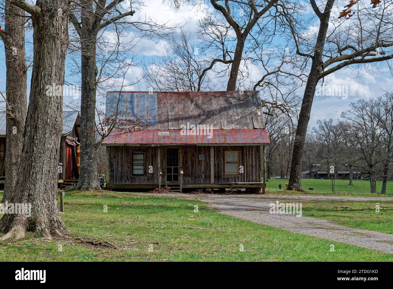 Old rundown rustic home with a rusty metal roof and a porch surrounded by trees and farmland with cows in the background in a country setting on a sun Stock Photo