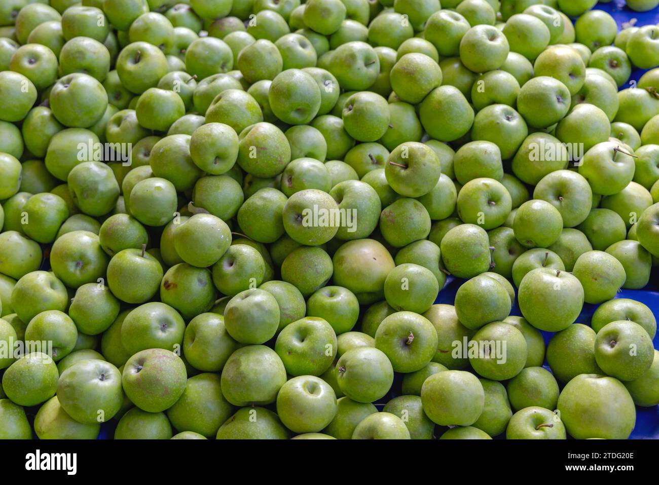 Granny smith sour hires stock photography and images Alamy