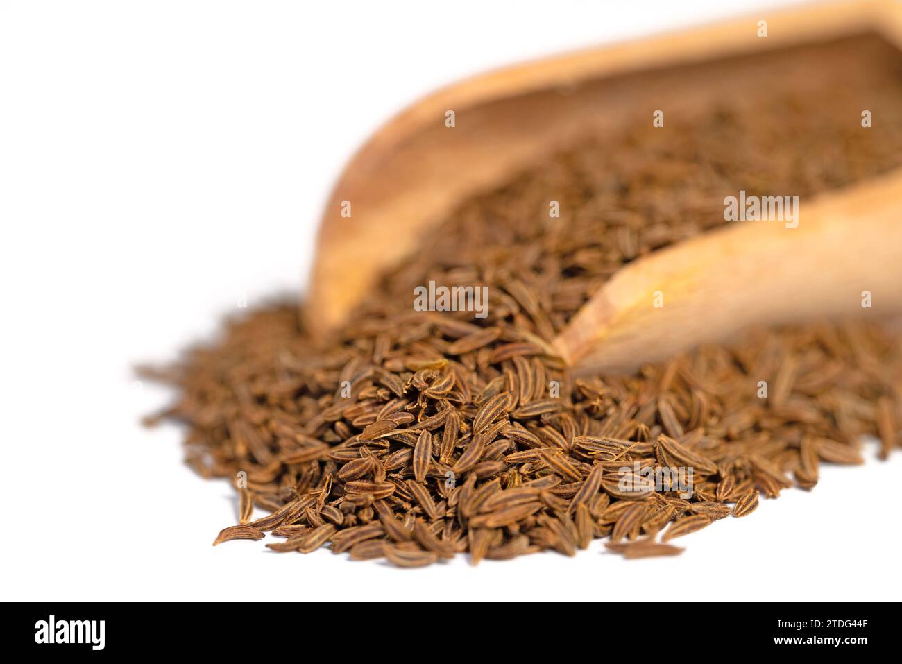Caraway seeds on a spice scoop Stock Photo