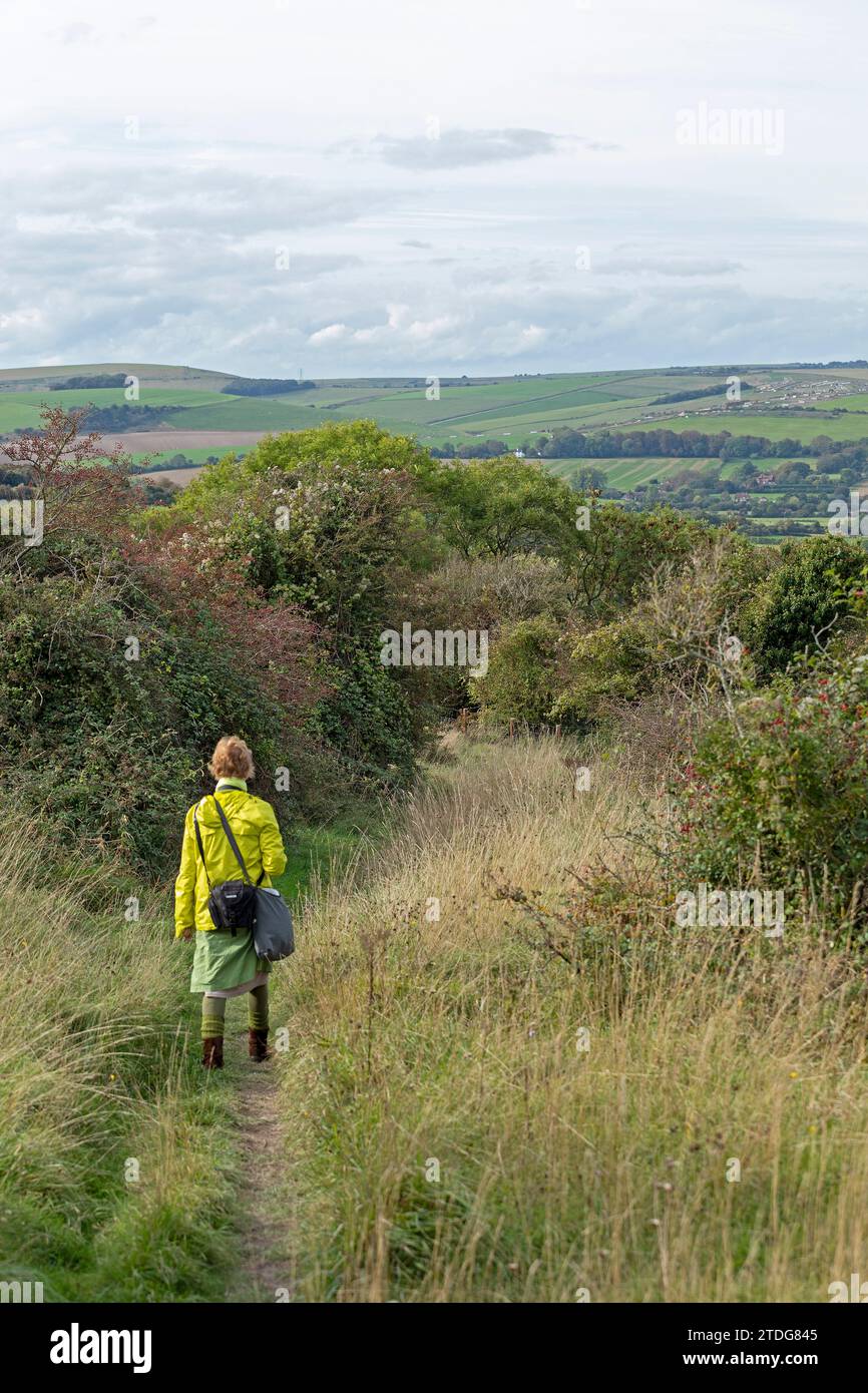 Woman, hiking trail near Upper Beeding, South Downs, West Sussex, England, Great Britain Stock Photo