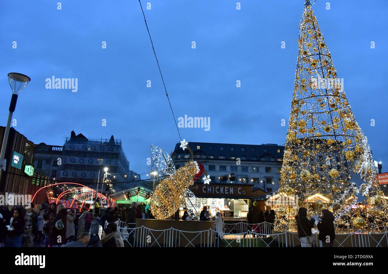 Illuminated Xmas tree, illuminated bee on the left, Christmas xmas