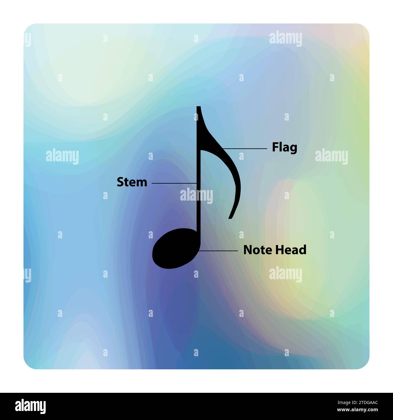 Music Note construction, Parts of a music note, learning Stock Vector