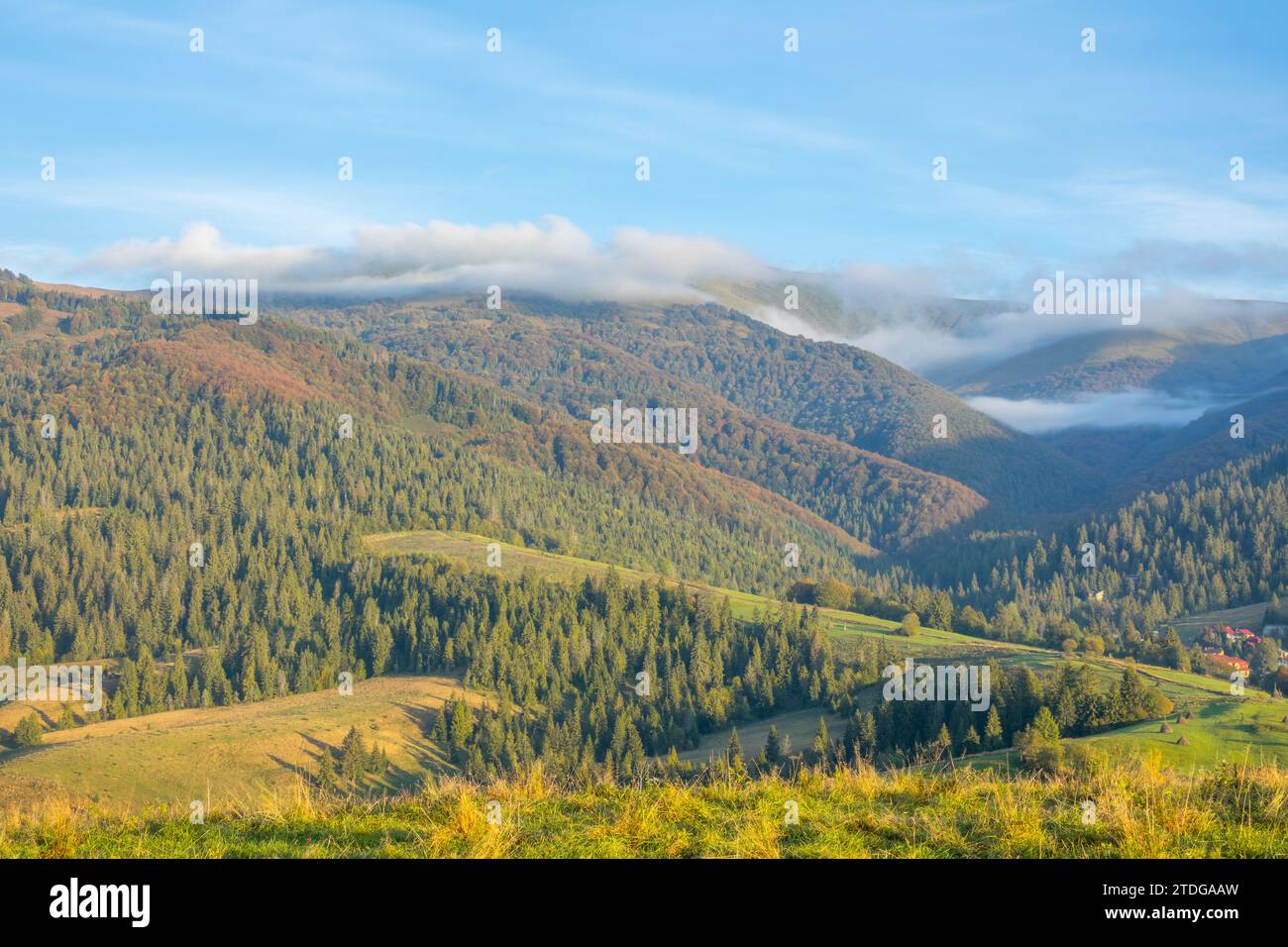 Morning in the summer Ukrainian Carpathians. Waves of fog in the forests covering the mountains. Pastures for livestock and a small village Stock Photo