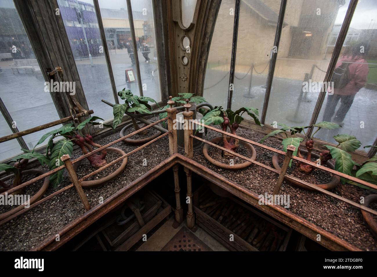 Harry Potter Village - Gringotts Bank UK Con Illuminazione E Adattatore Britannico - Foto 3