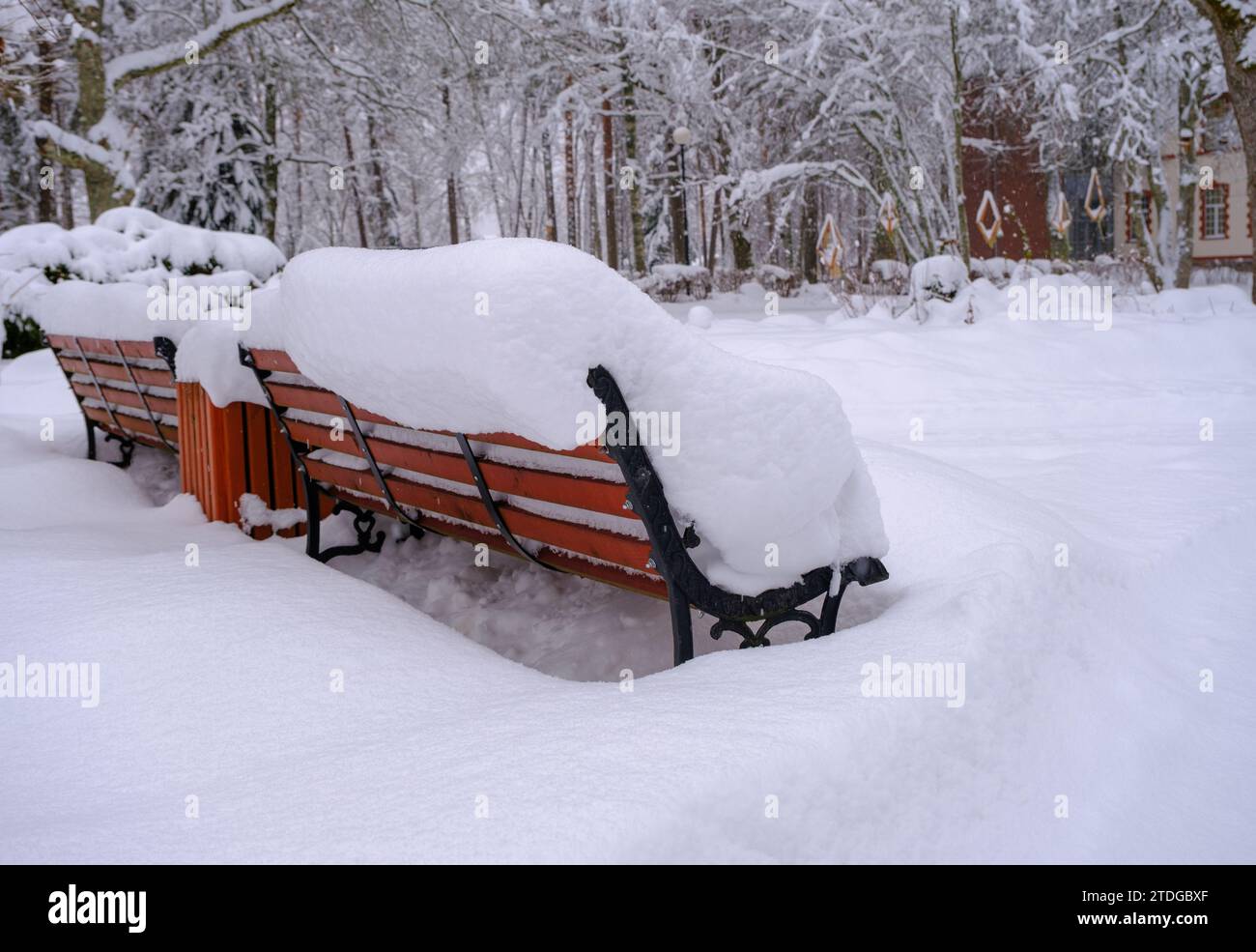 A park bench that is covered in snow. very thick layer of snow Stock ...