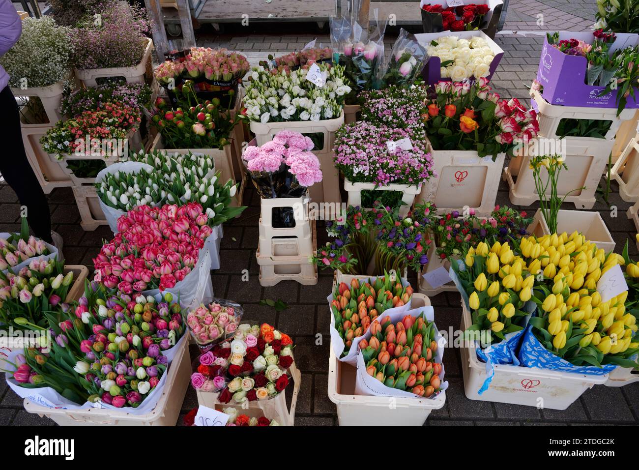 Große Auswahl an Blumen auf einem deutschen Wochenmarkt. Stock Photo