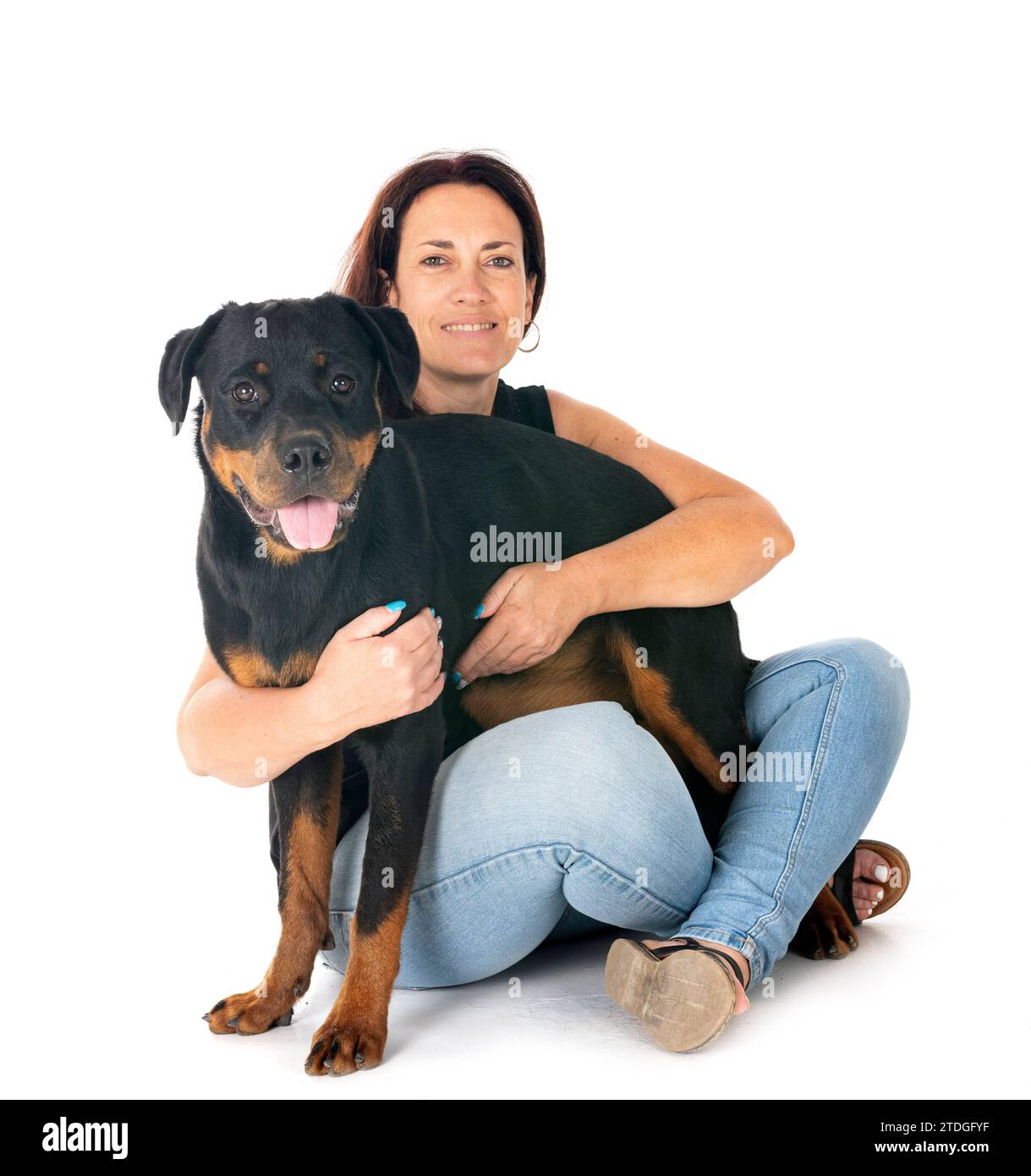 Three Rottweilers Woman puppy rottweiler and woman in front of white background Stock Photo - Alamy