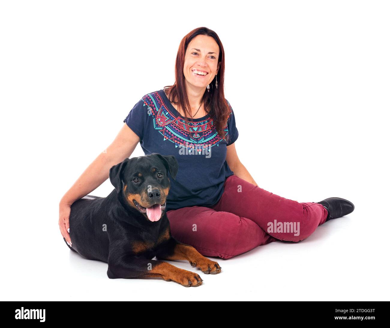 Three Rottweilers Woman purebred rottweiler and woman in front of white background Stock Photo ...
