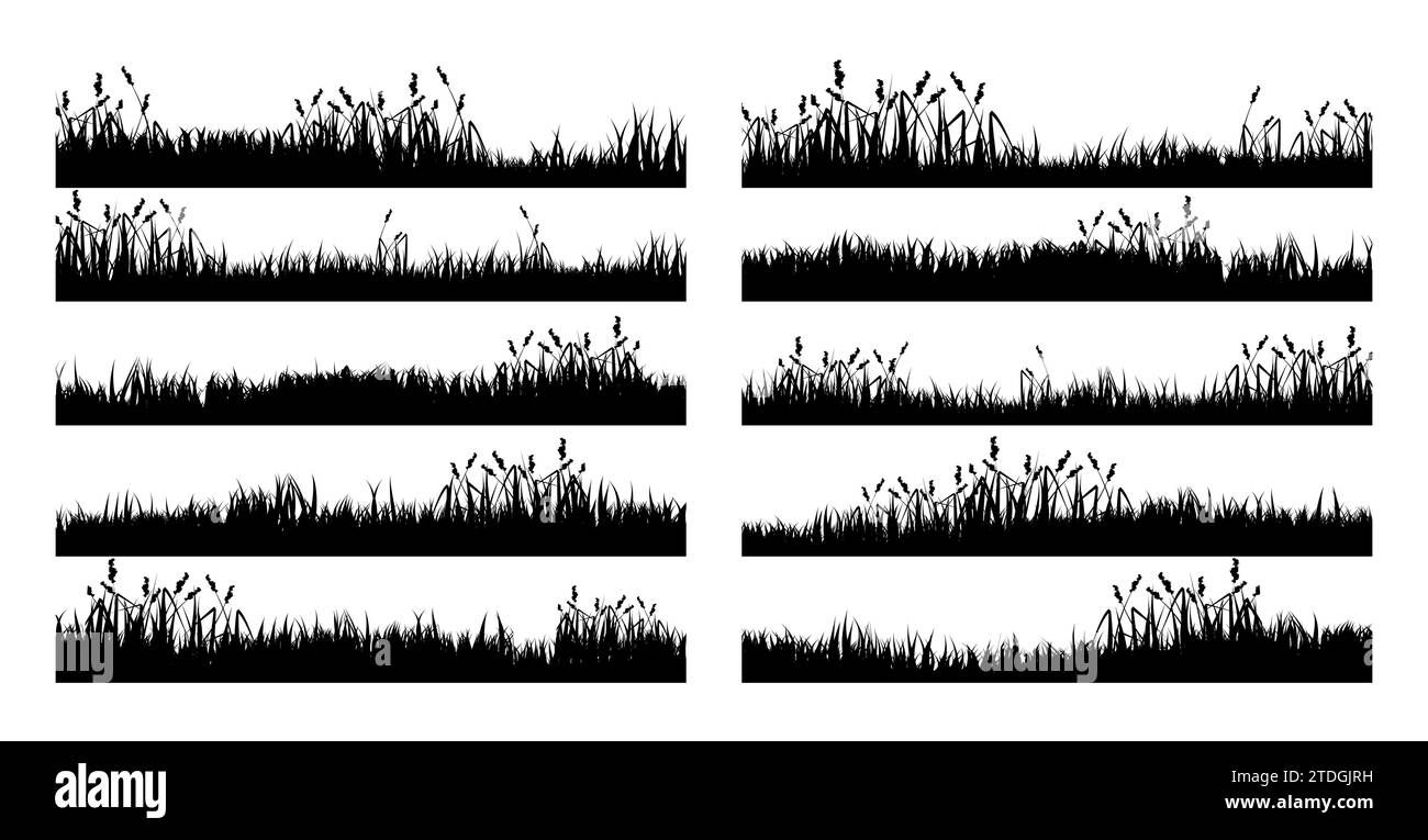 Grass grassy plain Cut Out Stock