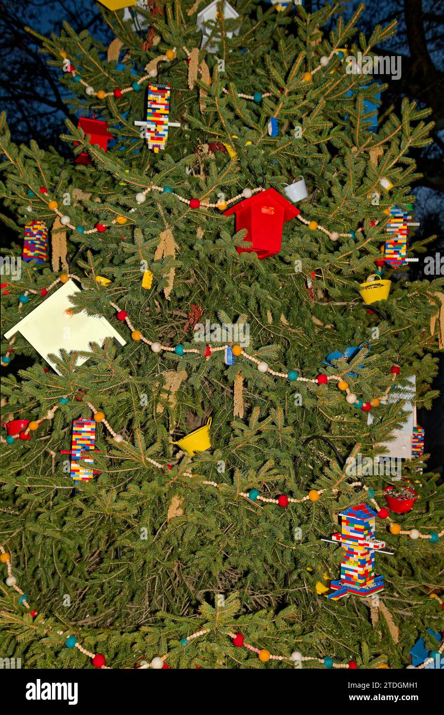 Christmas tree, evergreen, decorated with Legos and birdhouses, strings of wood beads, unique, colorful, festive, holiday, winter Stock Photo