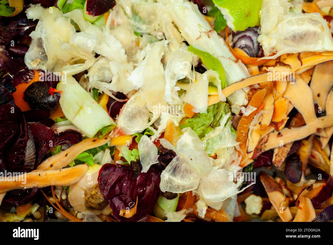 Scraps of cabbage leaves, carrot peels, onion skin, beet and celery leaves, discarded and awaiting disposal in a compost bin. Stock Photo