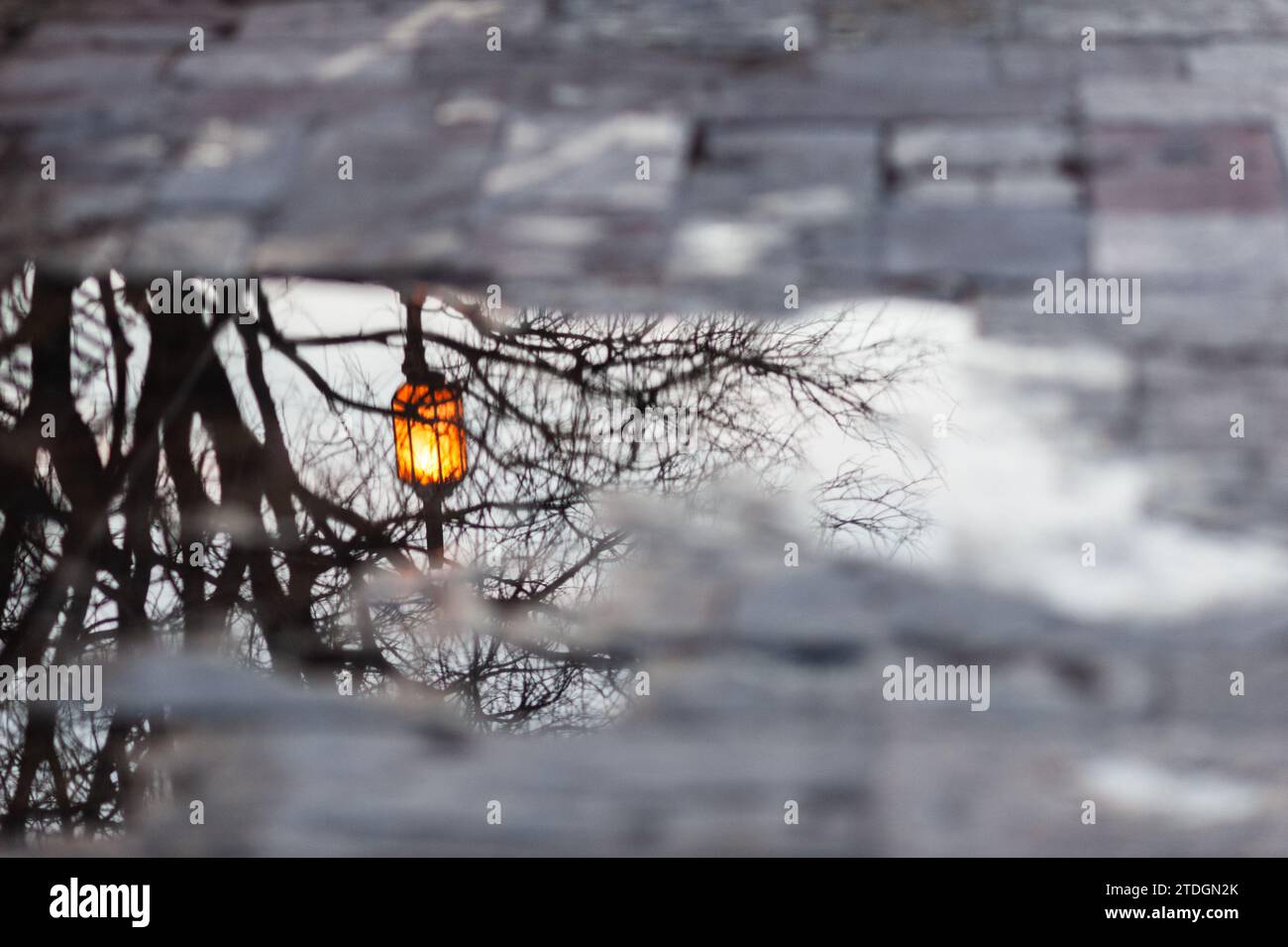 A lone, orange streetlight reflected in a puddle on a sidewalk following a rainstorm in Jerusalem, Israel. Stock Photo