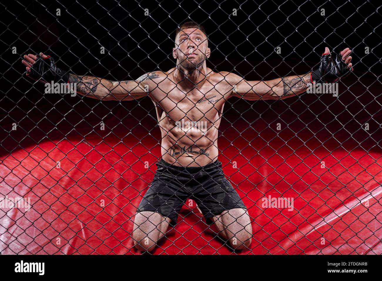 Dramatic image of a mixed martial arts fighter standing in an octagon