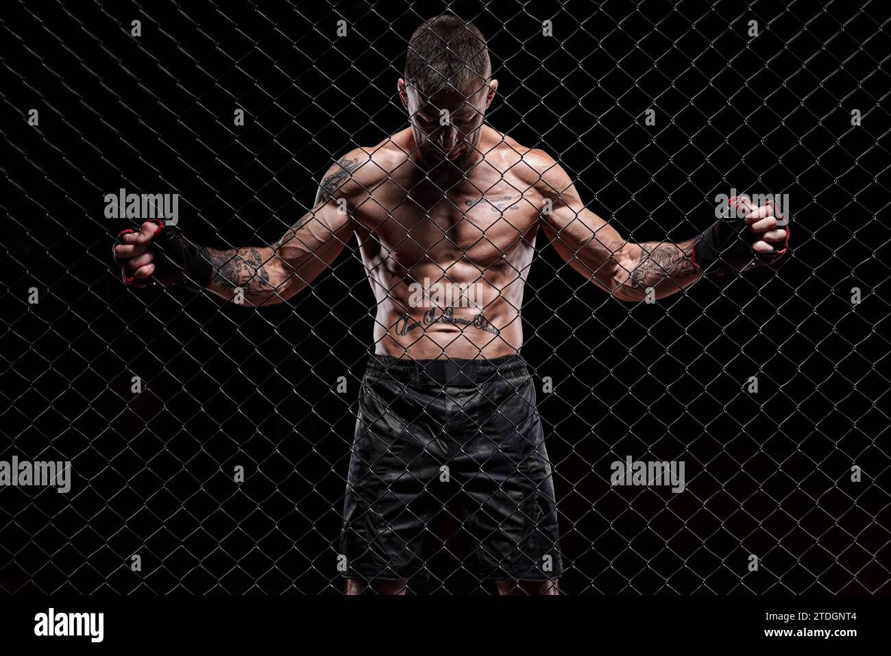 Dramatic image of a mixed martial arts fighter standing in an octagon