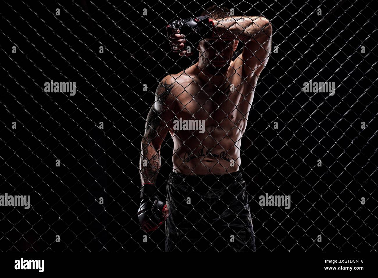 Dramatic image of a mixed martial arts fighter standing in an octagon