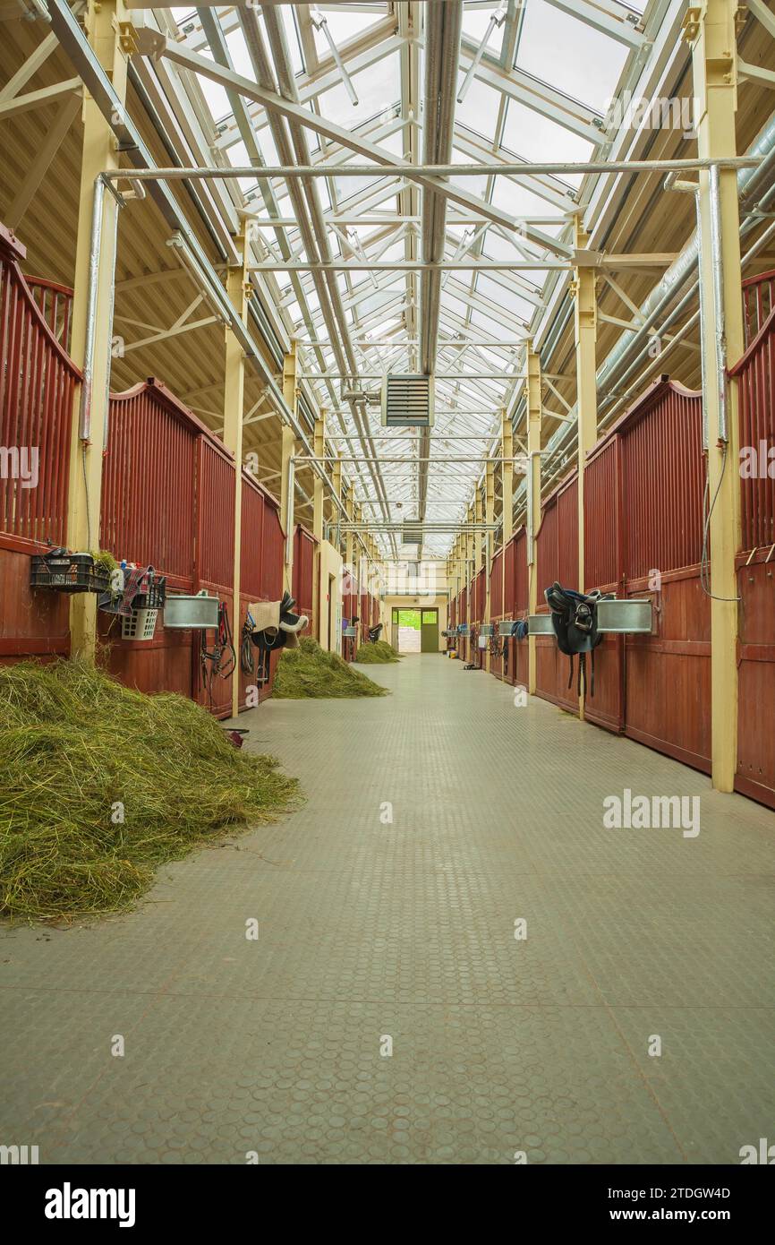 Drive to stables hi-res stock photography and images - Alamy