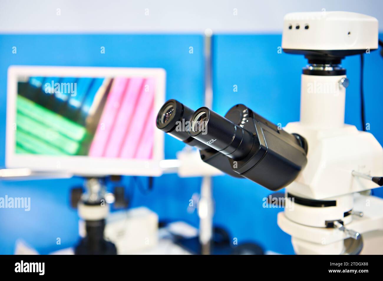 Eyepieces polarization stereo microscope and monitor Stock Photo