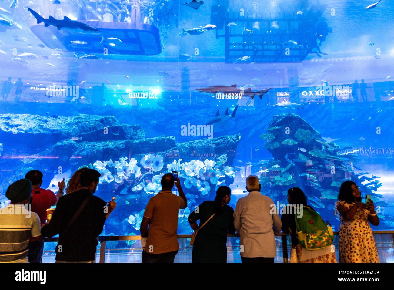 Dubai, United Arab Emirates. 18th Dec, 2023. Visitors watch wild fish in an aquarium located in Dubai Mall, with reflections of shop windows on aquarium glass in central Dubai. Credit: Dominika Zarzycka/Alamy Live News Stock Photo