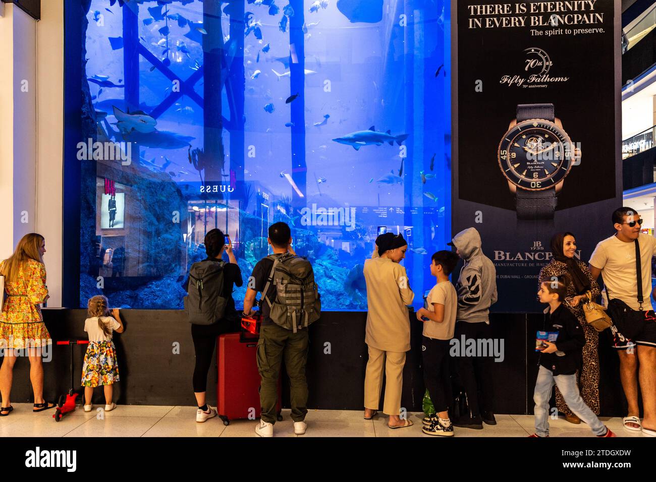 Dubai, United Arab Emirates. 18th Dec, 2023. Visitors watch wild fish in an aquarium located in Dubai Mall, with reflections of shop windows on aquarium glass in central Dubai. Credit: Dominika Zarzycka/Alamy Live News Stock Photo
