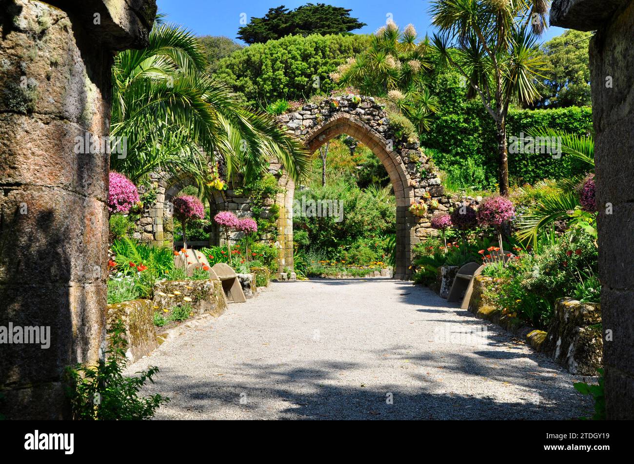 The remains of the priory church, dominated by a well preserved arch, forms a special part of the Tresco Abbey sub tropical gardens.The island of Tres Stock Photo